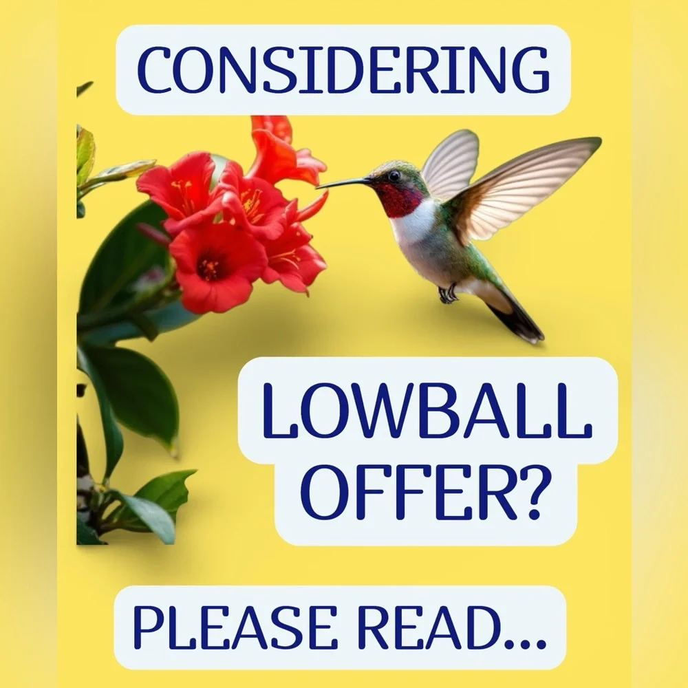 What is a Lowball Offer? - Picture 1 of 1